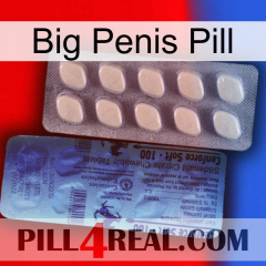 Big Penis Pill 34